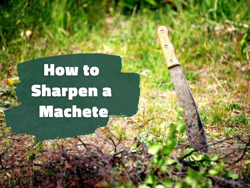 How to sharpen a Machete