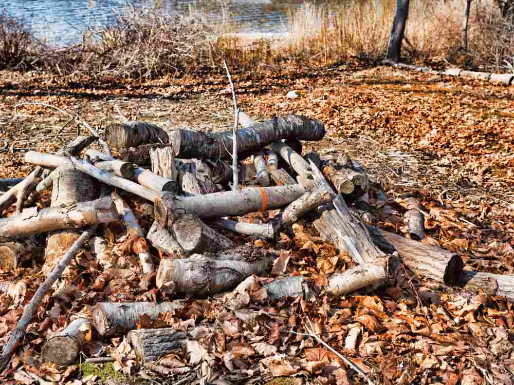 Dry seasoned wood to maximize campfire duration