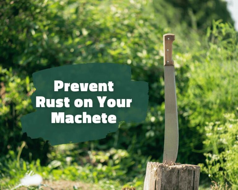 7 Tips for Preventing Rust on Your Machete Go In The Wilderness