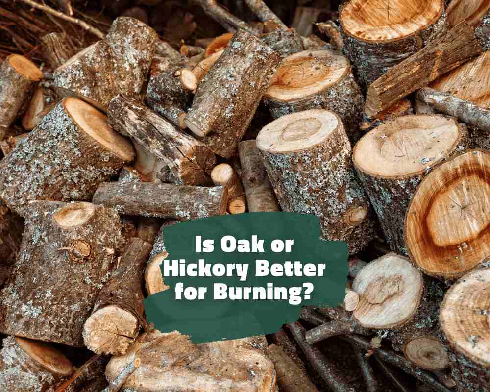 Is Oak or Hickory Better for Burning?