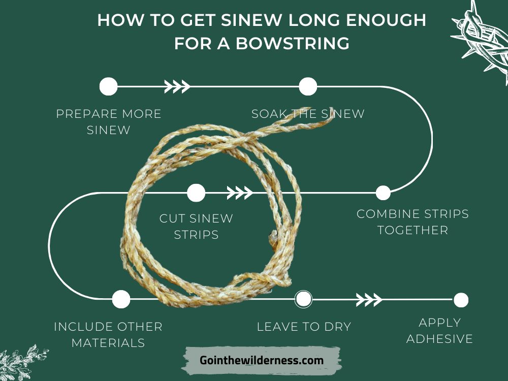 How to Get Sinew Long Enough for a Bowstring