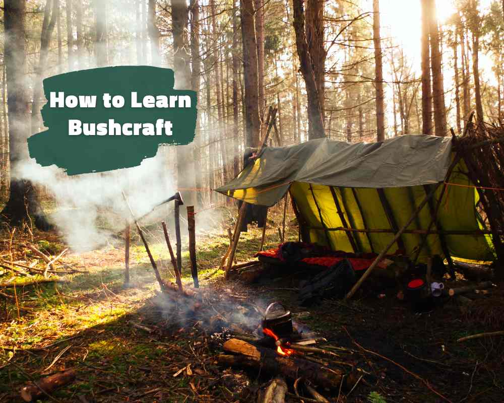 How to Learn Bushcraft