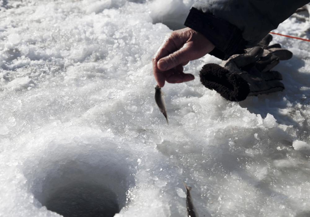 Ice fishing as a source of food when bushcrafting in winter