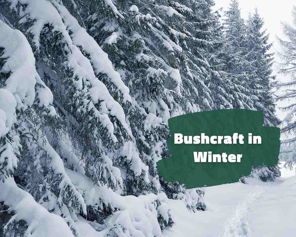 Is Bushcraft Possible in Winter?