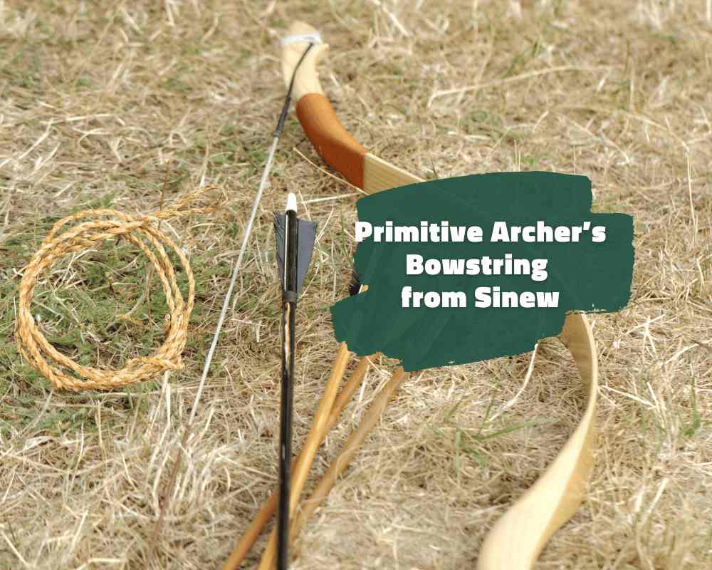 Making a Primitive Archer’s Bowstring from Sinew