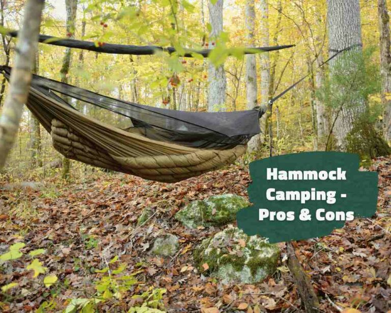 Pros and Cons of Hammock Camping Go In The Wilderness