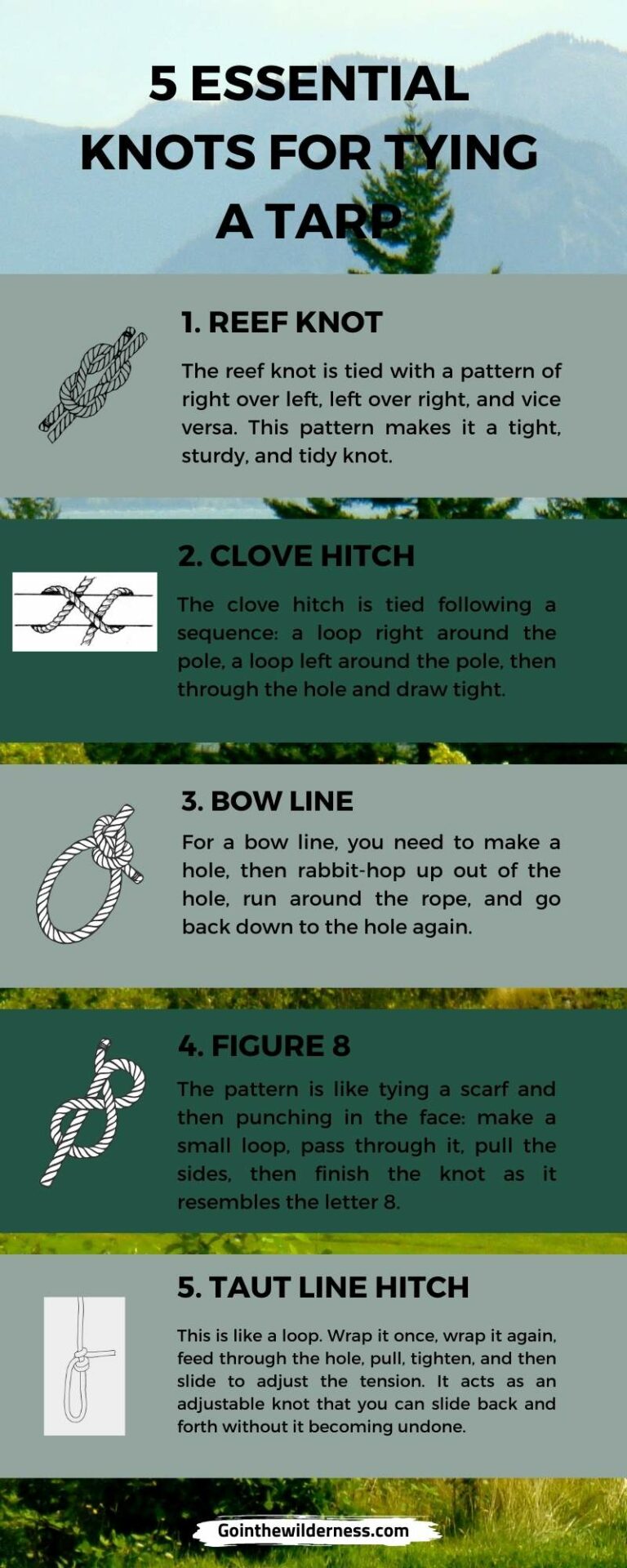 Essential Knots for Tying a Tarp Go In The Wilderness