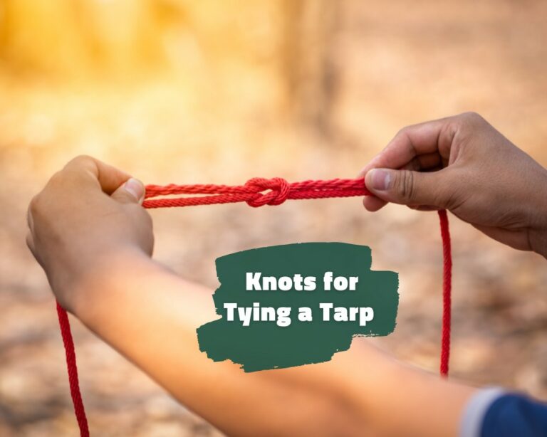 Essential Knots for Tying a Tarp Go In The Wilderness