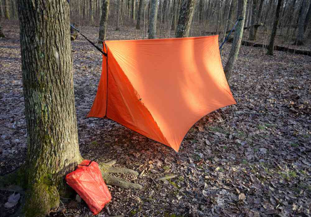 What Knot Do You Use to Tie a Tarp To a Tree? 